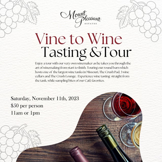 Vine to Wine Tasting and Tour